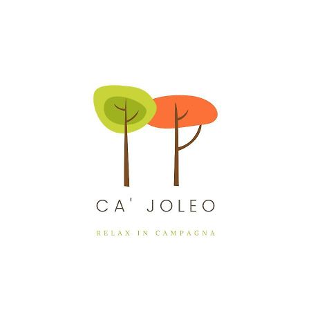 Ca'Joleo - Relax In Campagna Del Lago Di Garda San Giorgio in Salici Eksteriør billede